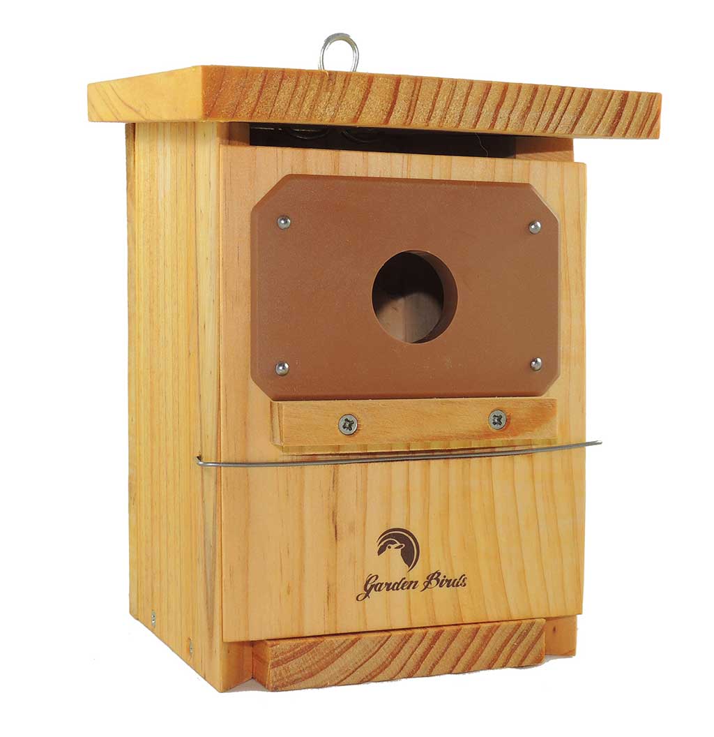 Caja nido de madera para páridos tratada y con protección antipícidos
