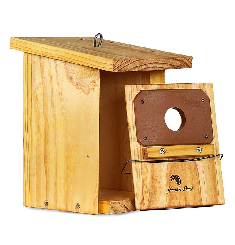 Caja nido de madera para páridos tratada y con protección antipícidos