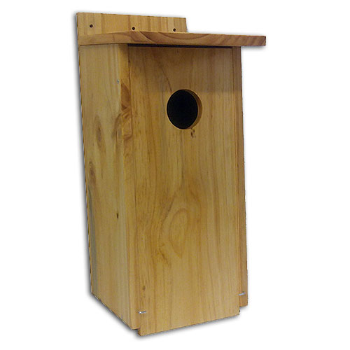 Caja nido para mochuelo en madera tratada