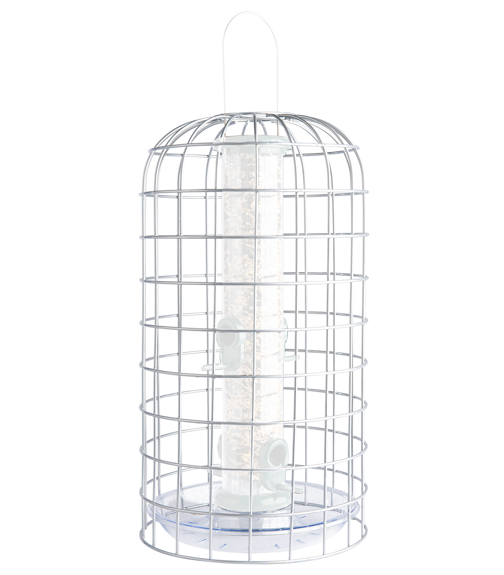 BFG-4 Bird Feeder Guardians mediano