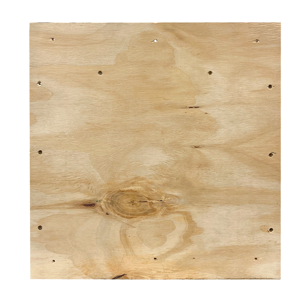 Caja nido de madera para vencejo real