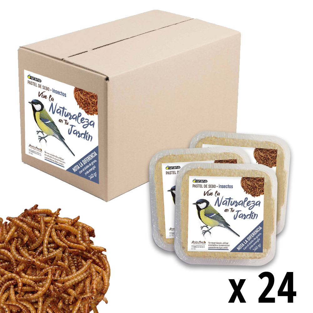 DIF-IN24 Caja con 24 unidades del pastel de sebo con insectos