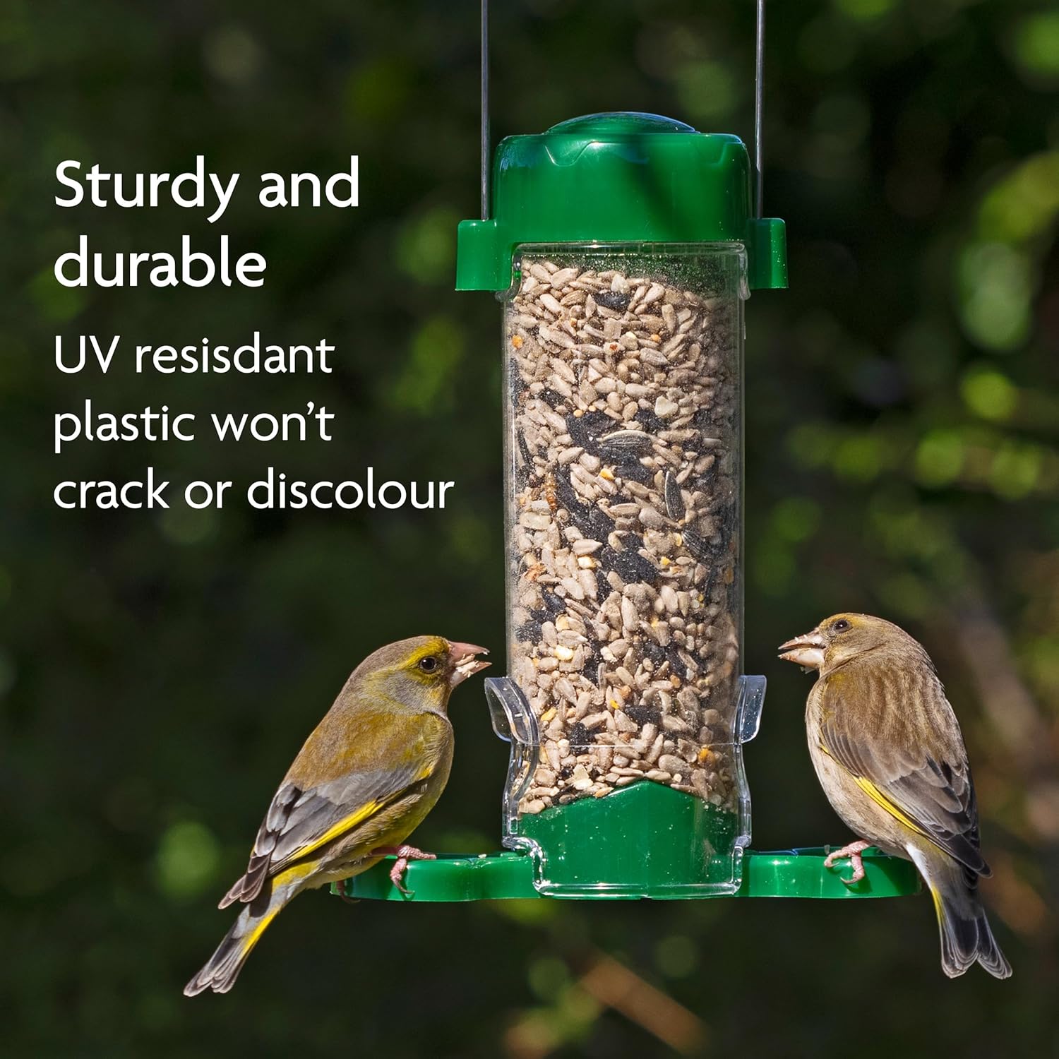 GSG-SV2 Get Set Go Comedero de iniciación para mezcla de semillas 2