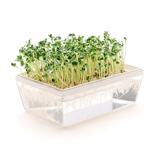 Germinadora EVA-H con kit hidropónico 2