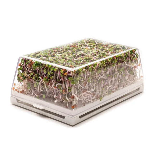 Germinadora EVA-H con kit hidropónico 4