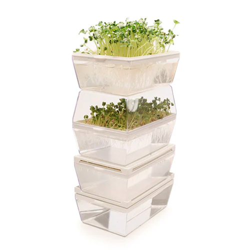 Germinadora EVA-H con kit hidropónico 6