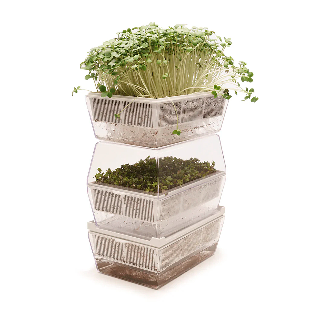 Germinadora EVA-S con sustrato de coco 6