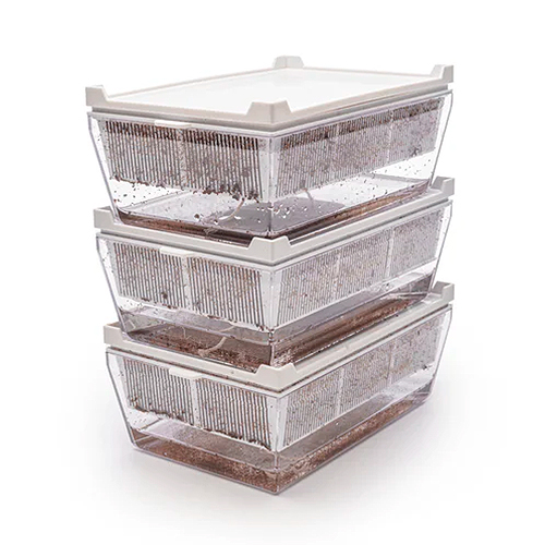 Germinadora EVA-S con sustrato de coco 5