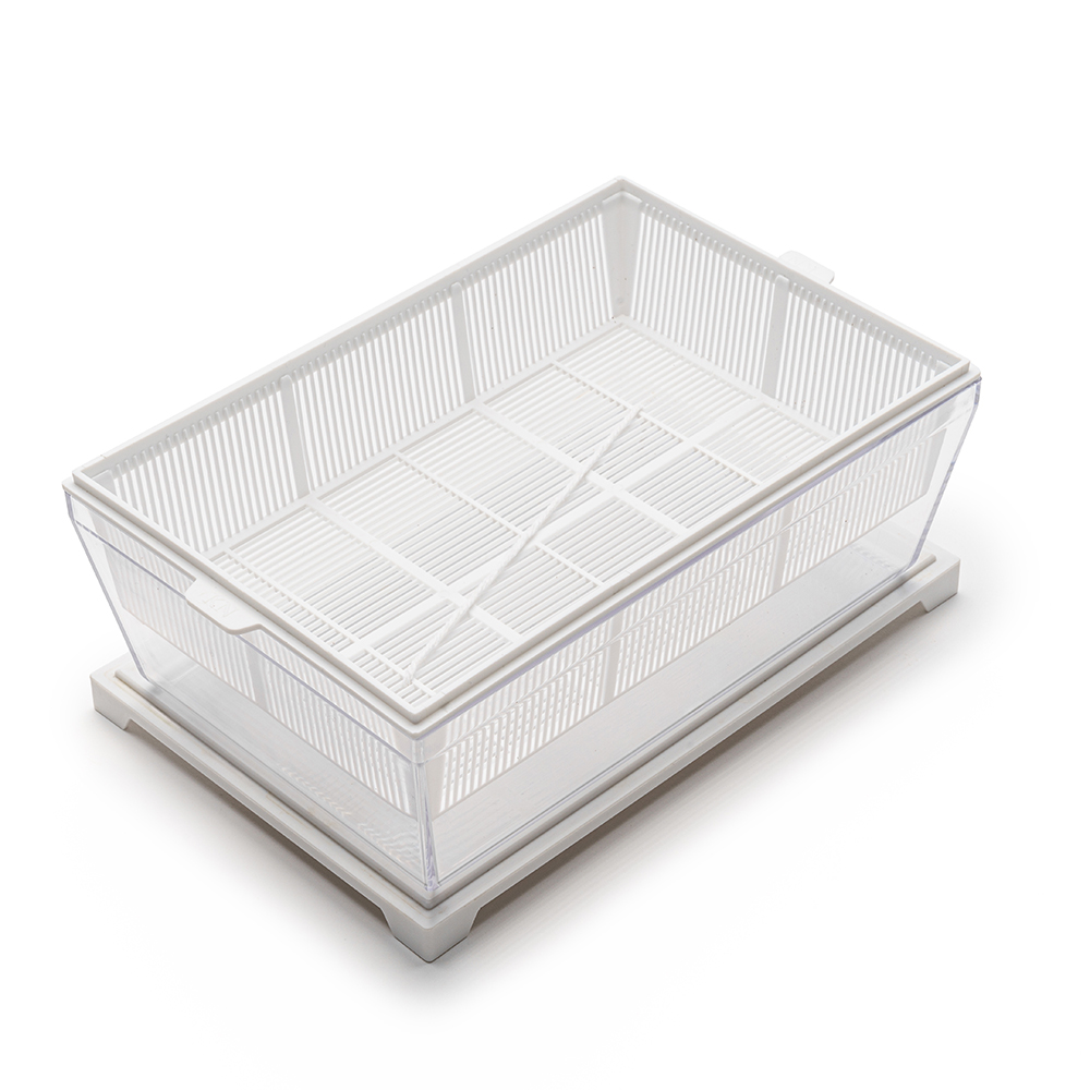 Germinadora EVA-S con sustrato de coco 4