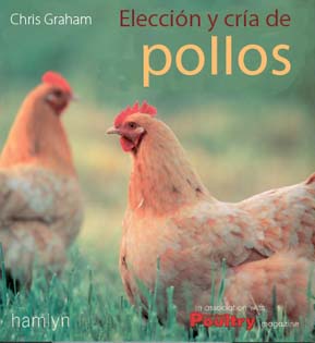 Elección y cría de pollos y gallinas 