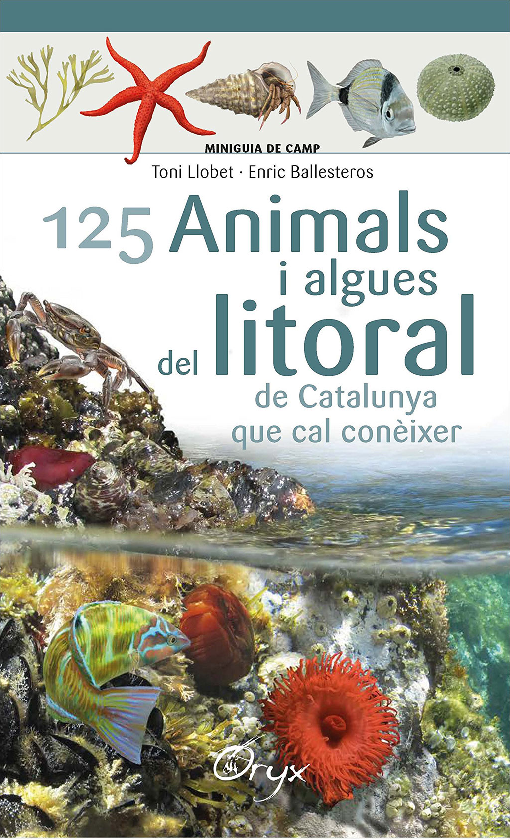 125 ANIMALS I ALGUES DEL LITORAL DE CATALUNYA QUE CAL CONÈIXER. MINIGUIA DE CAMP 1