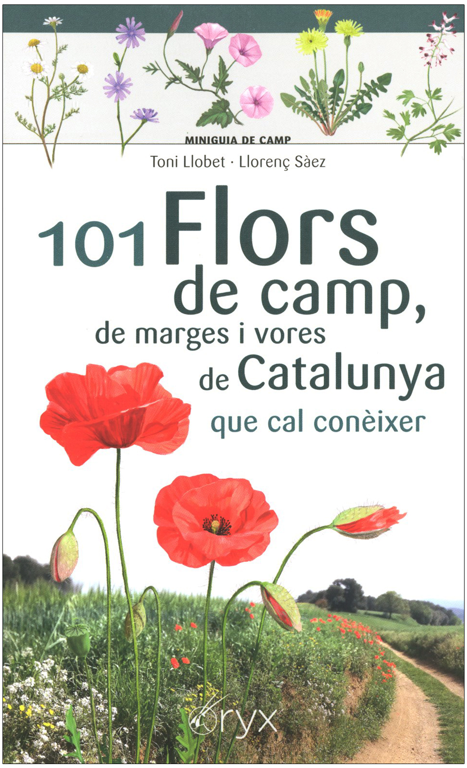 101 Flors de camp, de marges i vores de Catalunya que cal conèixer. Miniguia de camp                                                                  