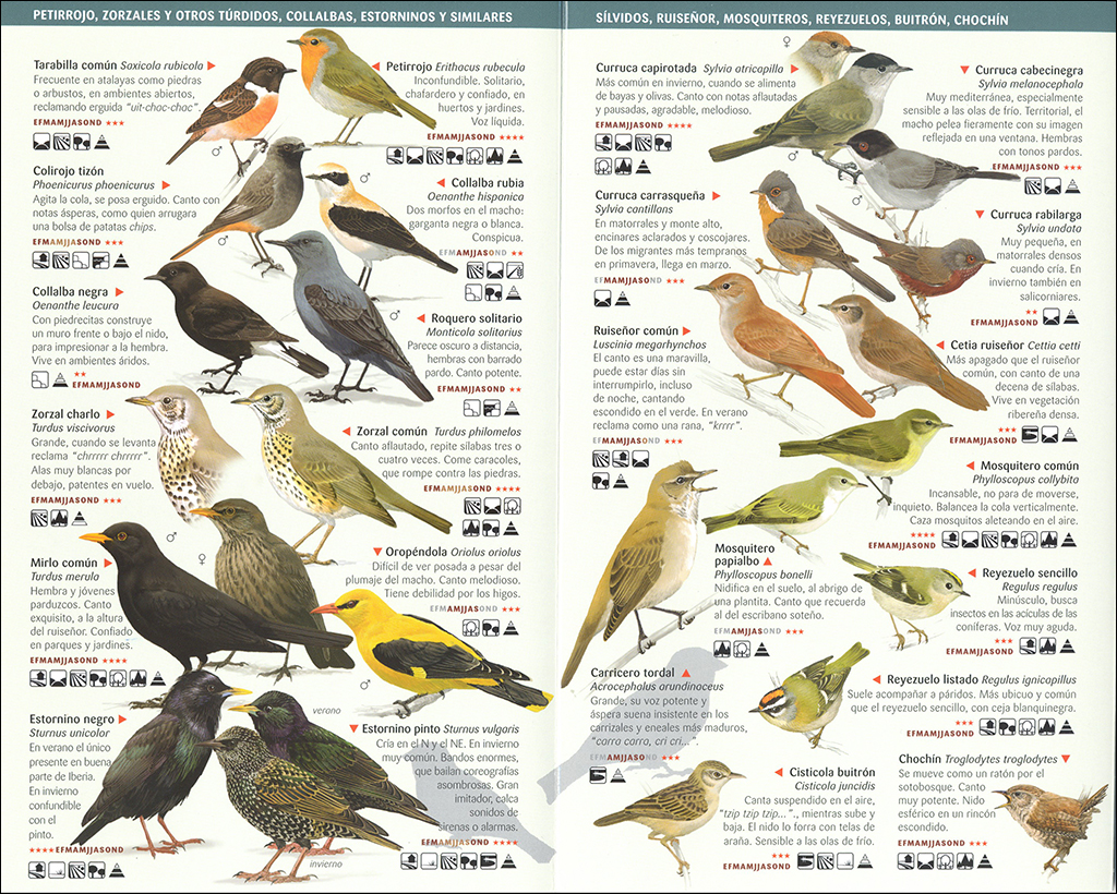 150 Aves de España que hay que conocer. Miniguía de campo