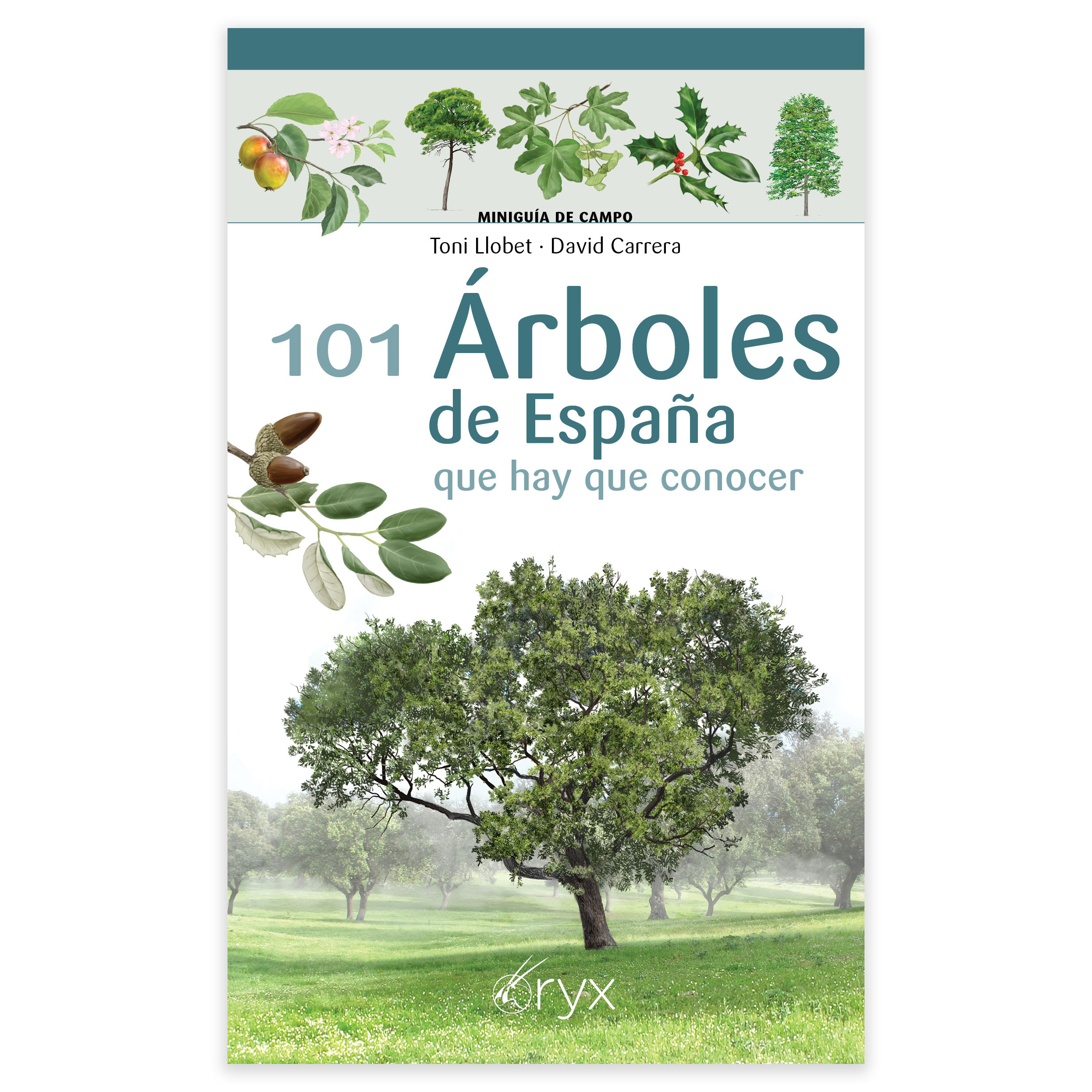 101 Árboles de España que hay que conocer. Minguía de campo