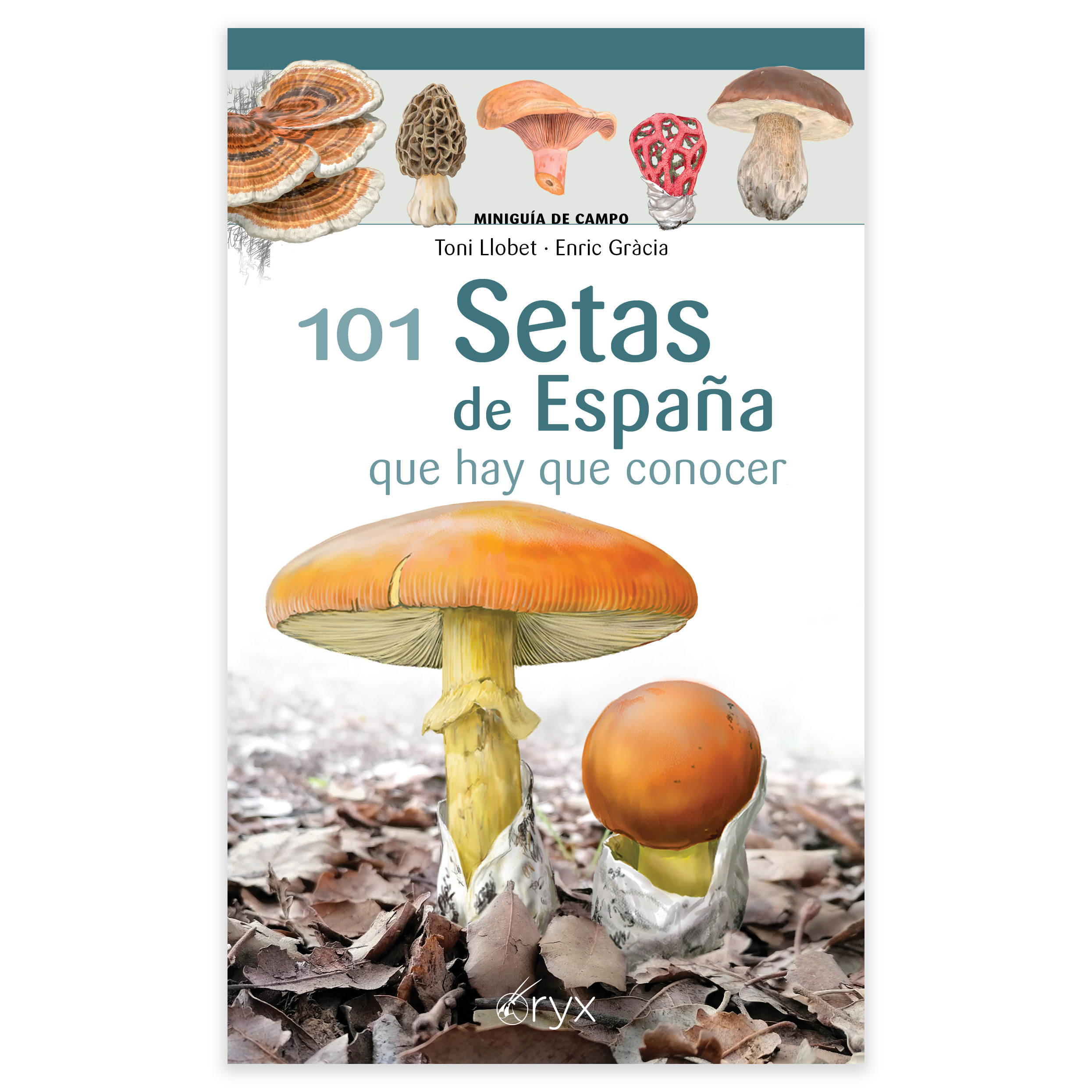 101 Setas de España que hay que conocer. Miniguía de campo