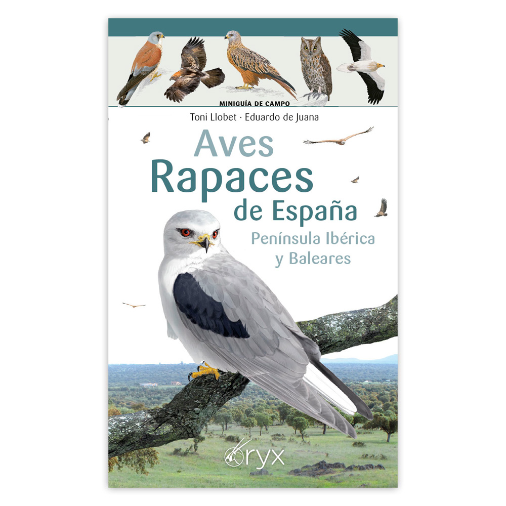 Aves rapaces de España, Península Ibérica y Baleares. Miniguía de campo                                                                               