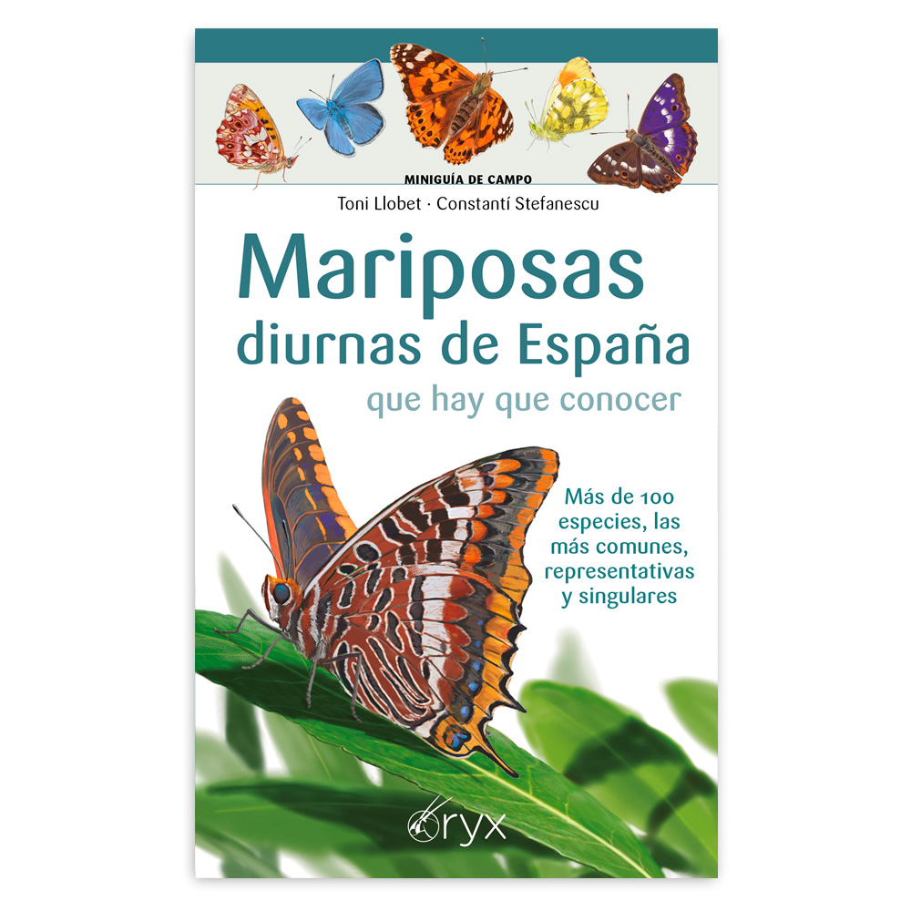 Mariposas diurnas de España que hay que conocer. Miniguía de campo