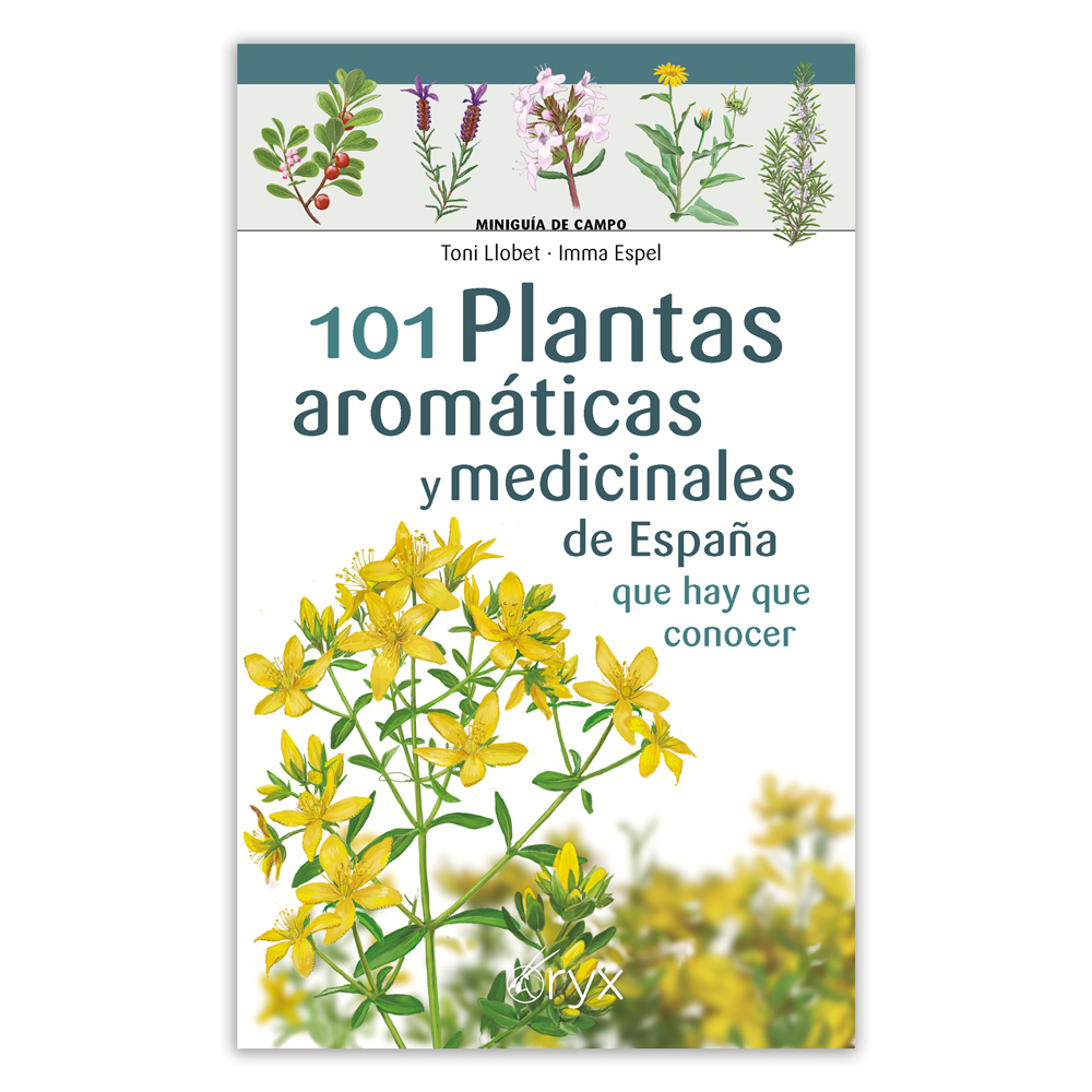 101 PLANTAS AROMÁTICAS Y MEDICINALES DE ESPAÑA QUE HAY QUE CONOCER. MINIGUÍA DE CAMPO