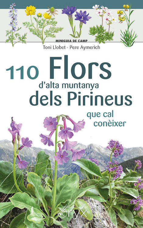 110 FLORS D'ALTA MUNTANYA DELS PIRINEUS QUE CAL CONÈIXER. MINIGUIA DE CAMP