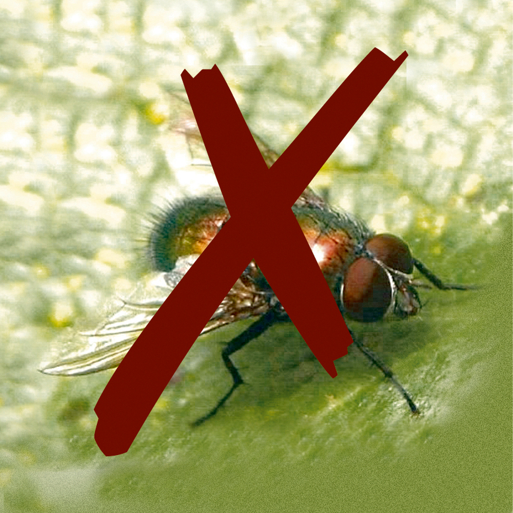 Malla anti insectos Biocontrol 2,20X5m 3