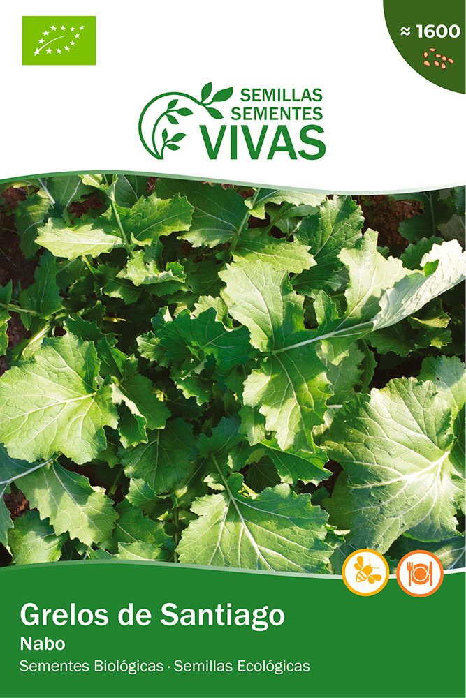 Semillas ecológicas de Grelos de Santiago
