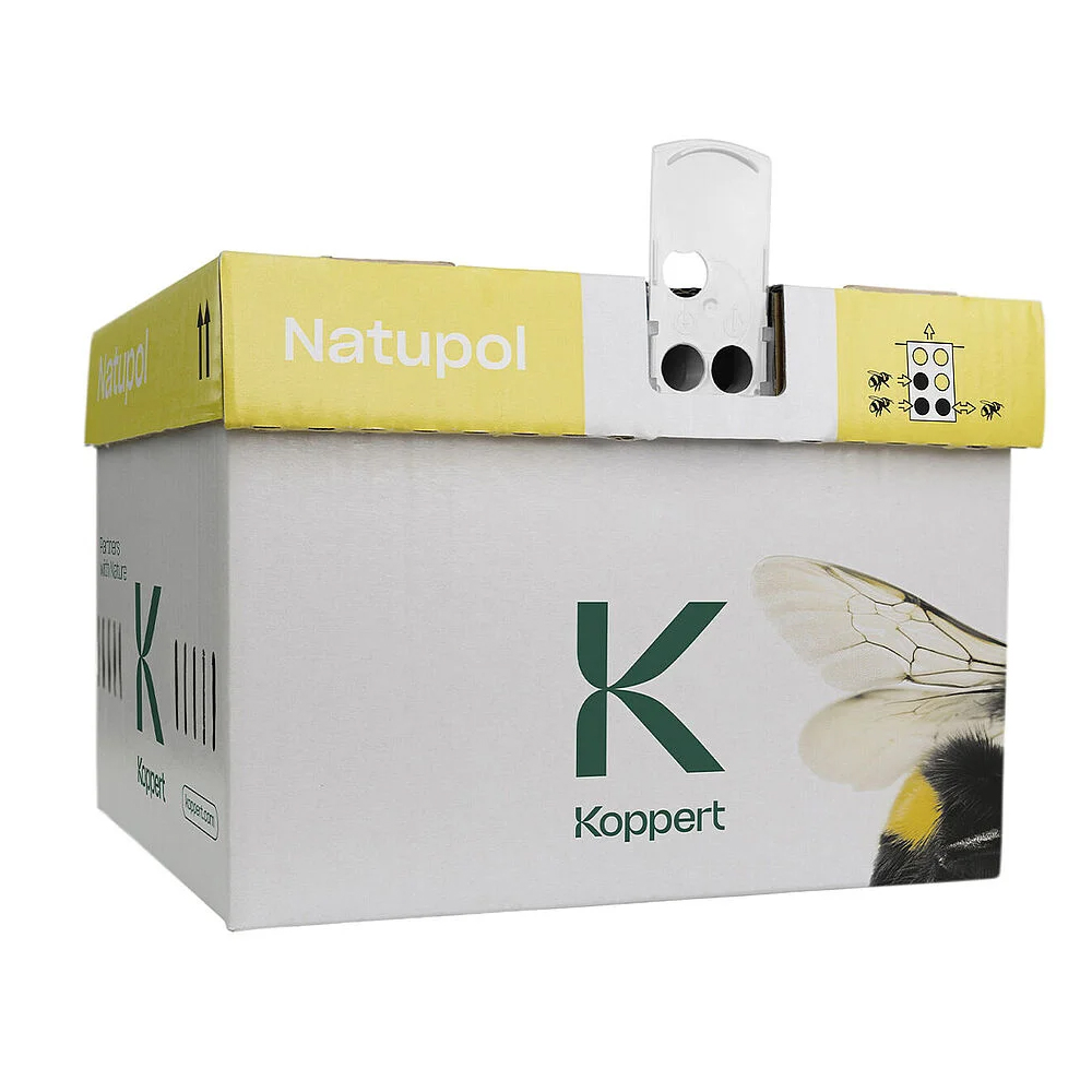Natupol: colmena para abejorros (Bombus terrestris) 1