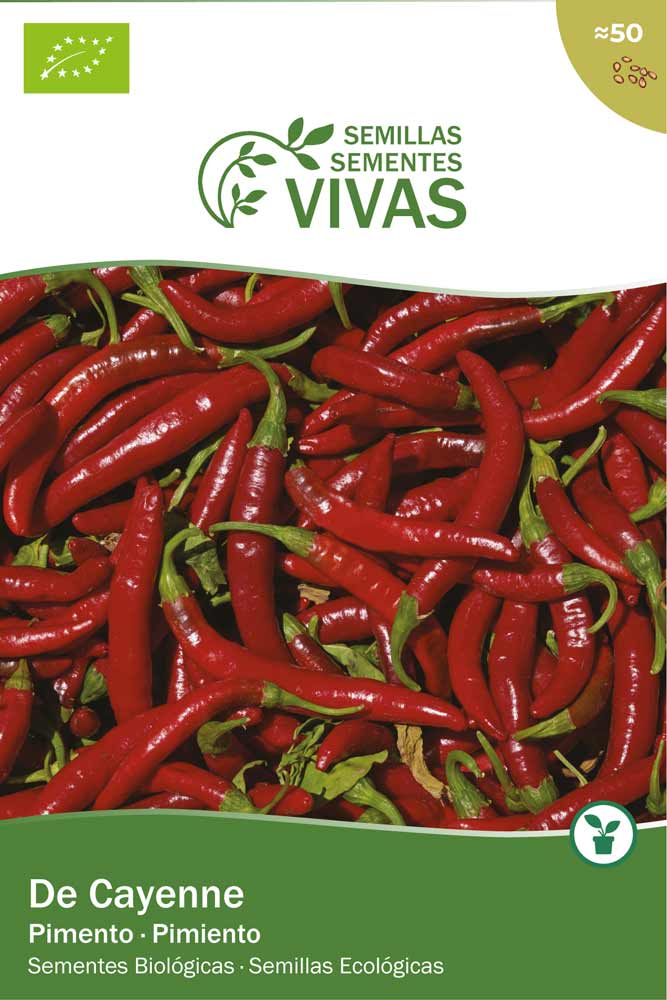 Semillas ecológicas de Cayena pimiento picante