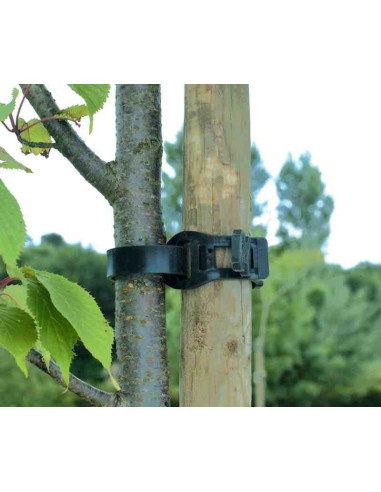 Abrazadera para árboles Tree Tie