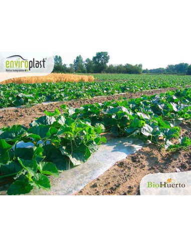 Acolchado biodegradable Enviroplast Negro 1,2x100m