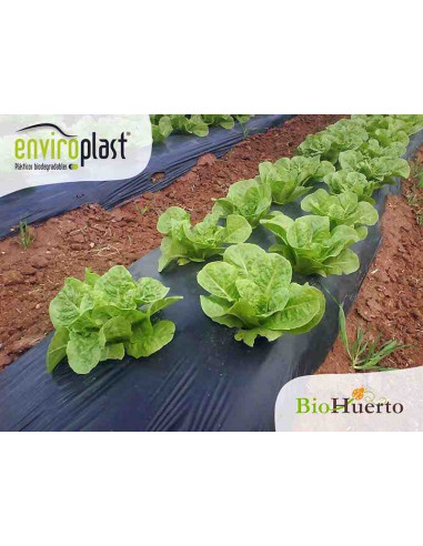 Acolchado biodegradable Enviroplast Negro 1,2x100m