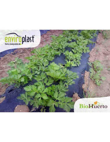 Acolchado biodegradable Enviroplast Negro 1,2x100m