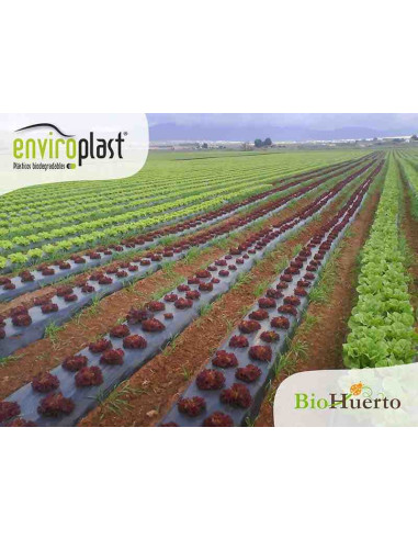 Acolchado biodegradable Enviroplast Negro 1,2x100m