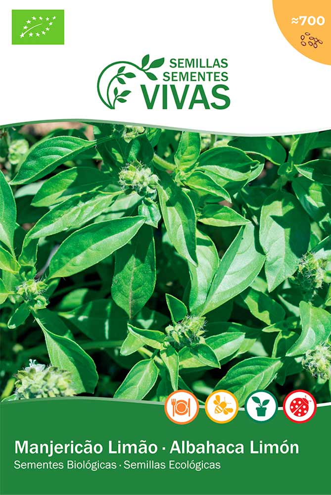 Semillas ecológicas de Albahaca Limón