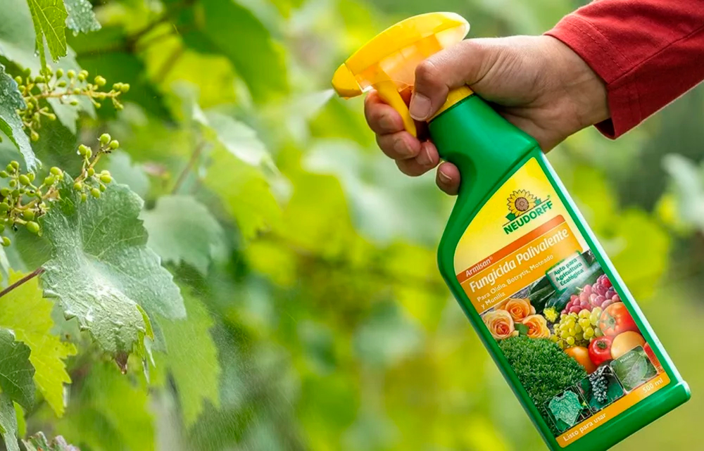 Armisan Fungicida polivalente RTU 500ml