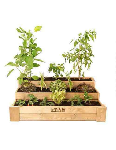 Cajón de cultivo Box Stairs Hortalia Box Stairs 80 1