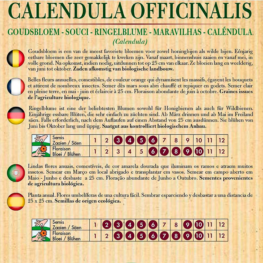 Semillas ecológicas de caléndula (calendula oficinals) 3