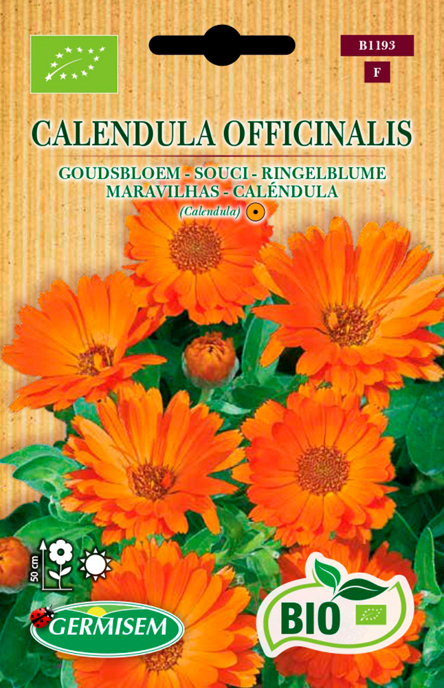 Semillas ecológicas de caléndula (calendula oficinals) 1