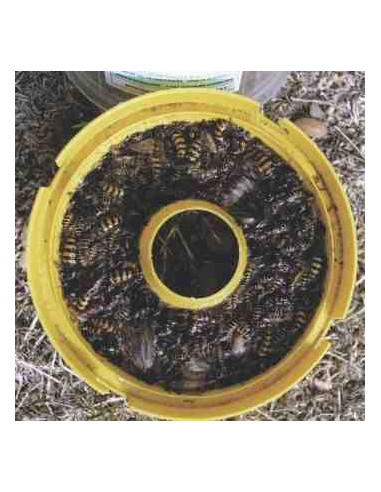 Cebo para avispa y mosca (60 días) 2