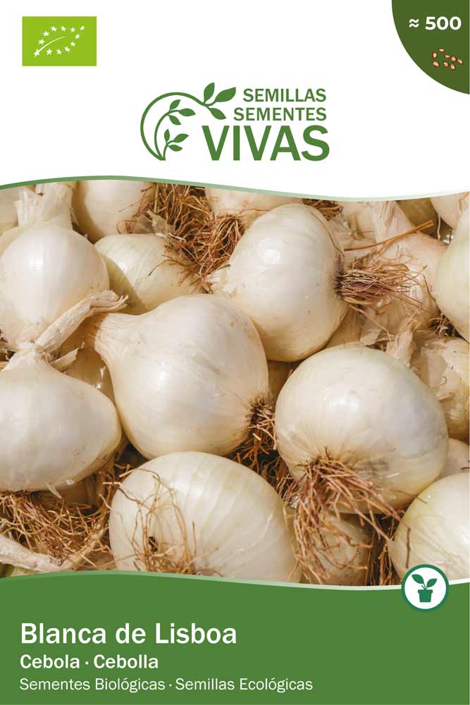 Semillas ecológicas de Cebolla Blanca de Lisboa