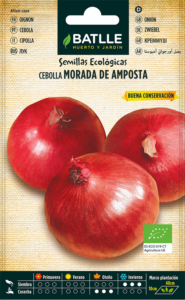 Semillas ecológicas de Cebolla morada de Amposta