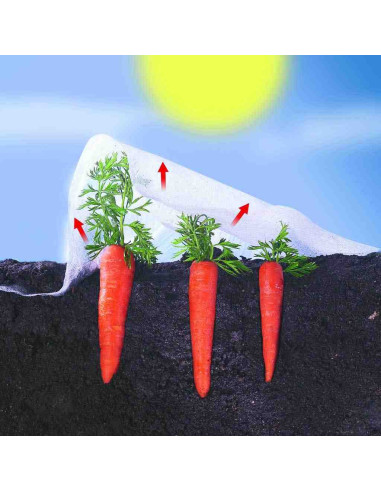 Climatex. Velo de crecimiento 2x10m