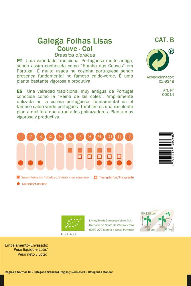 Semillas ecológicas de col gallega de hojas lisas