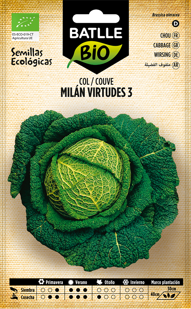Semillas ecológicas de col milán virtudes