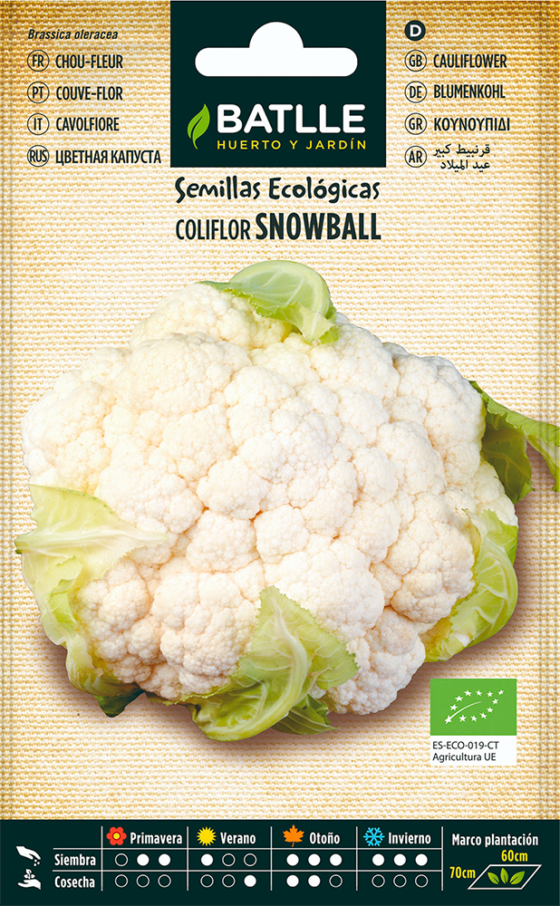 Semillas ecológicas de Coliflor Snowball
