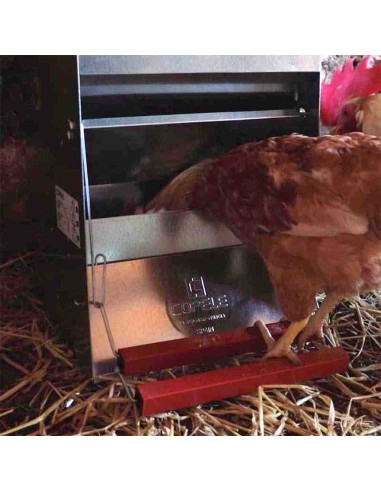 Comedero apertura mecánica para gallinas 12kg