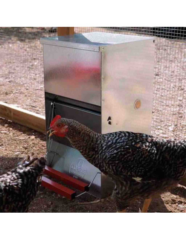 Comedero apertura mecánica para gallinas 12kg