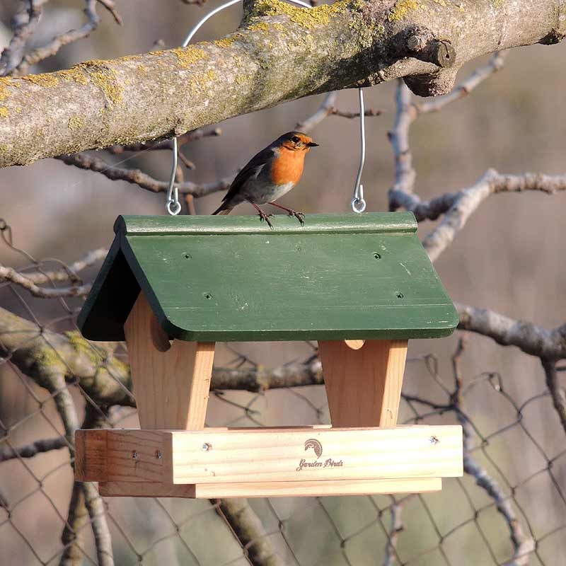 Un jardín lleno de vida: cajas nido y comederos para fauna silvestre