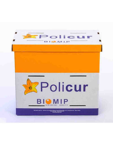 ESTACIÓN POLICUR (colmena de abejorros)