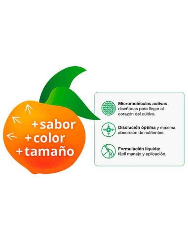 Filer Flow Engorde de frutos 250ml