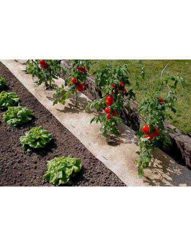 Flaxhem Acolchado antihierbas biodegradable 0,5x3m